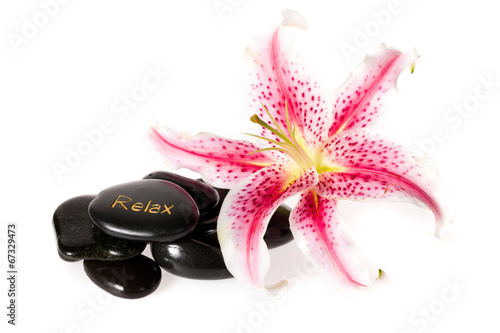 Photography zen spa stones on white background