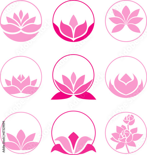 Pink lotus collection