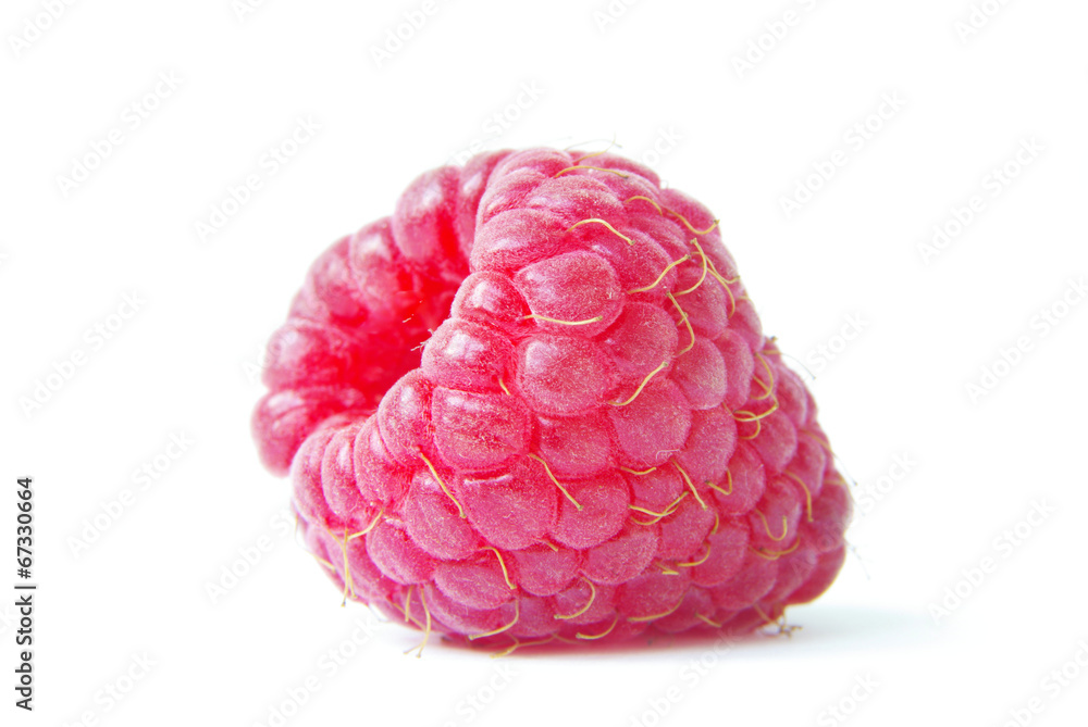 raspberry raspberry