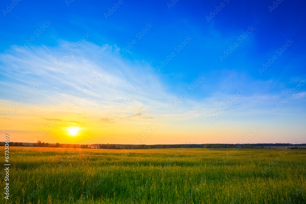Sunset over rural countryside field