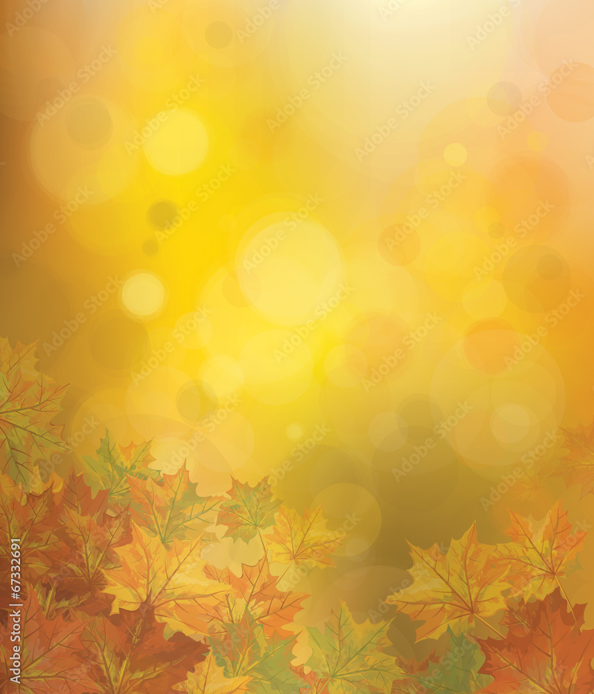 Vector autumnal leaves on bokeh background.
