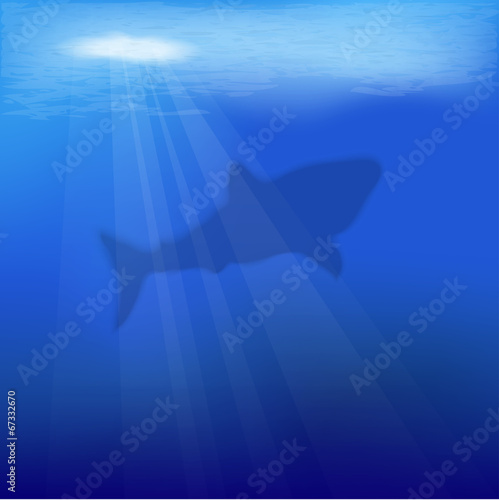 vector underwater scene with shark