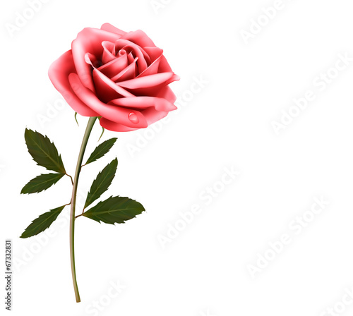 Flower background with a pink rose. Vector.