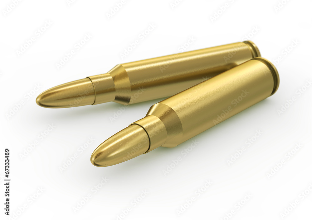 Fototapeta premium ammo_223var1_02