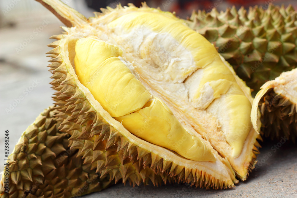 Obraz premium Durian fruit ripe for eaten