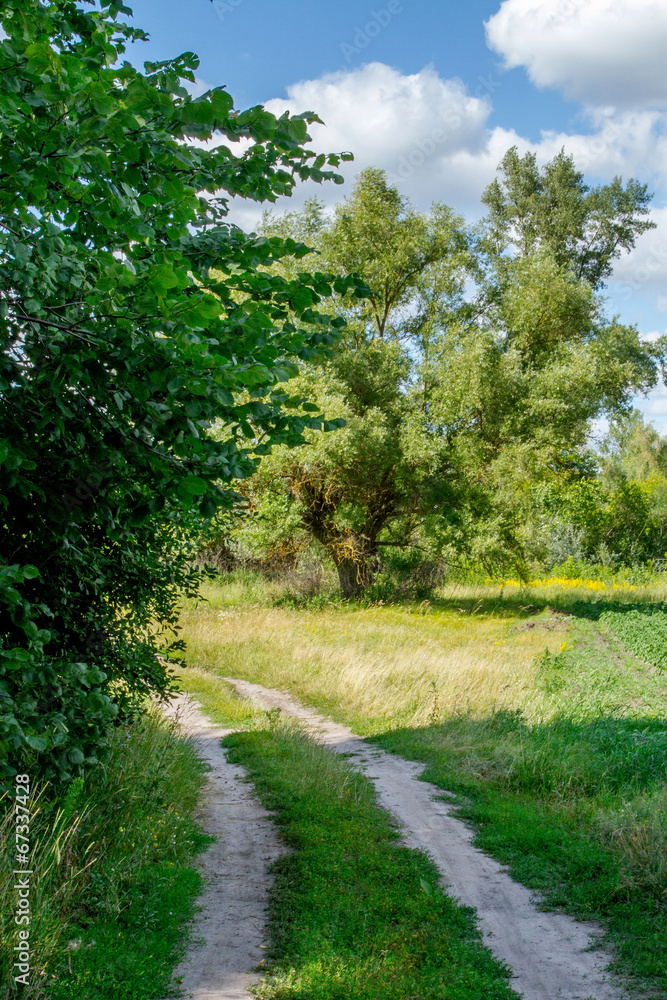 image of a dirt road through the deciduous forest image of a dirt road through the deciduous forest