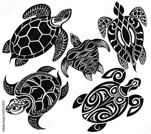 Set of turtles