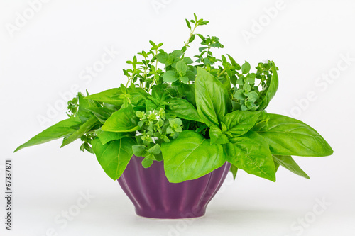Fresh herbs in a bowl: thyme, oregano and basil