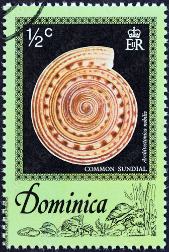 Common sundial (Dominica 1976)