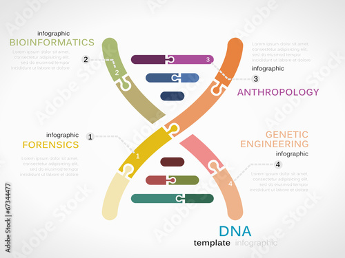 DNA concept infographic template with genetic chain