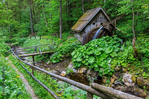 An old watermill by the stream in the forest in the spring photo