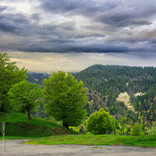 fence on hillside meadow in mountain