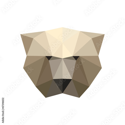Illustration of polygonal bear portrait