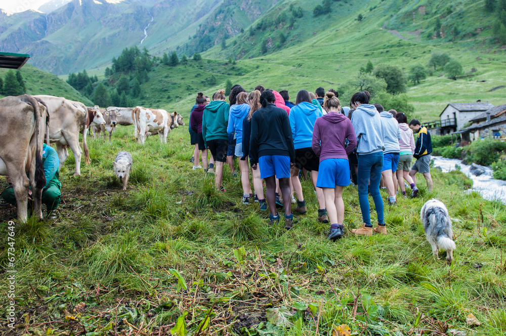 camminata in montagna StockFoto Adobe Stock
