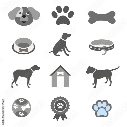 Pet icons set