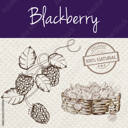 Blackberry basket