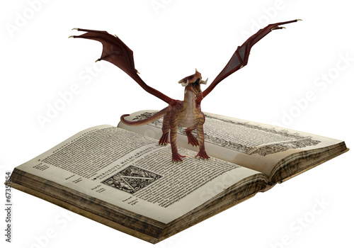 dragon is on the book
