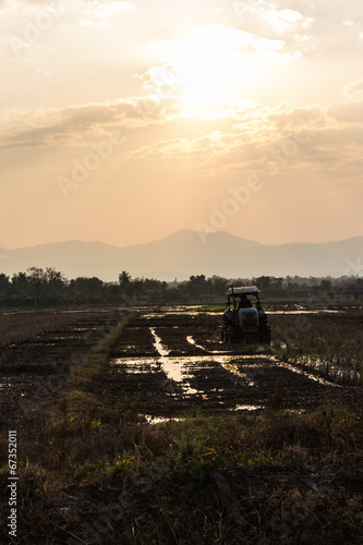 Tractor Prepares Rice Paddy  Agriculture In Thai