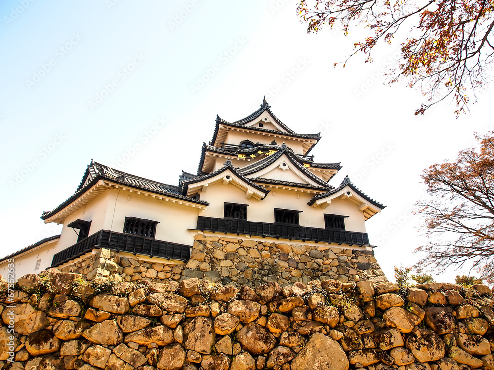 Hikone castle with blue sky in spring season, Hikone, Japan Hikone castle with blue sky in spring season, Hikone, Japan