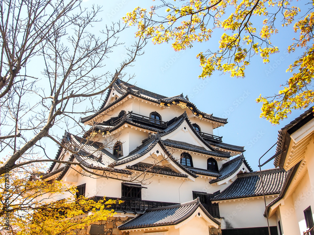 Hikone castle with blue sky in spring season, Hikone, Japan Hikone castle with blue sky in spring season, Hikone, Japan