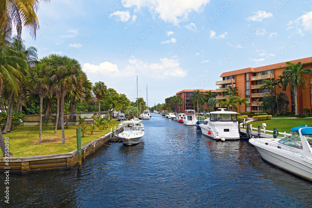 Motorboats and palm trees along the street canal.