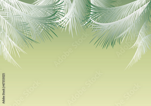 background with palm leaves