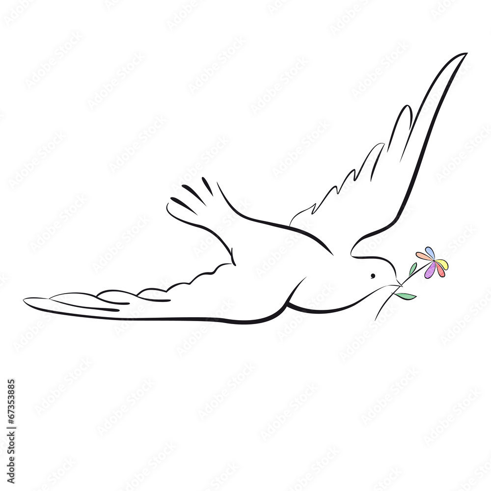 Fototapeta premium Dove