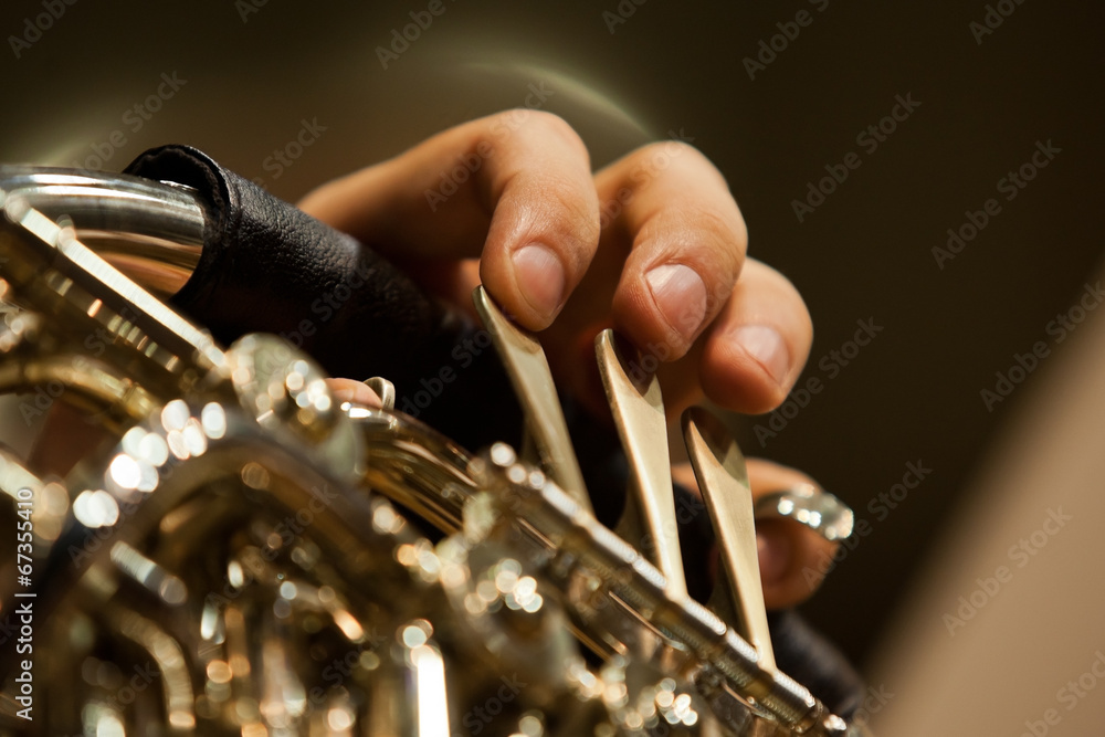 Obraz premium Fingers of a musician playing the French horn