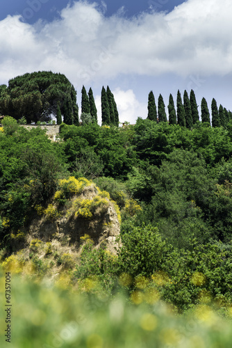 Tuscany landscape