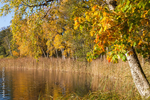 Autumn lake