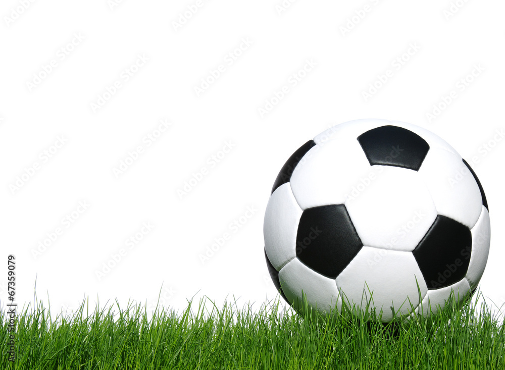soccer ball soccer ball