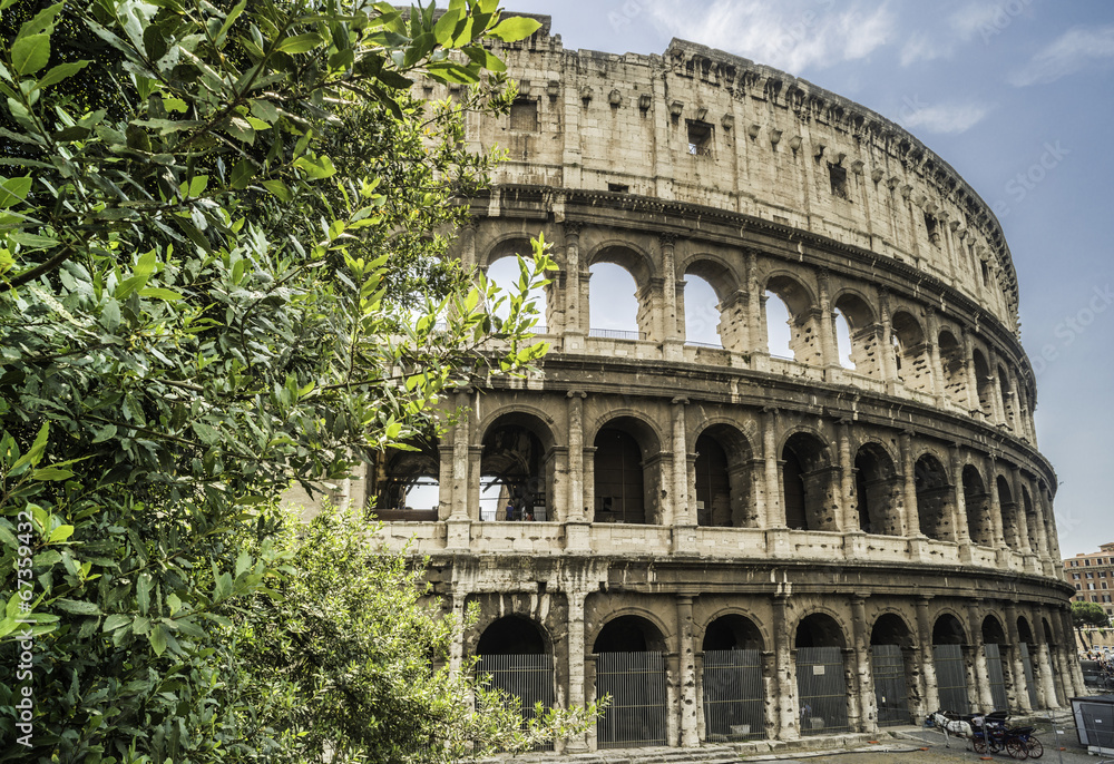 Obraz premium The Colosseum in Rome
