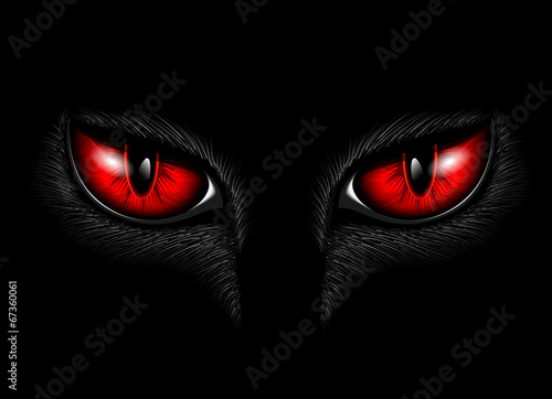 red cat's eyes