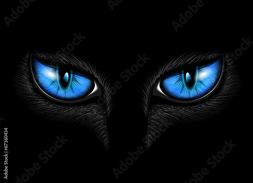 blue cat's eye
