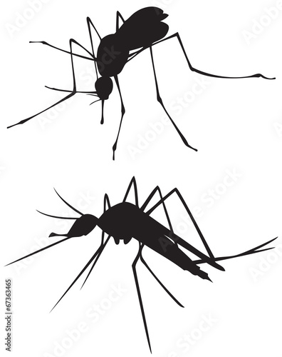 mosquito silhouette © mumindurmaz35