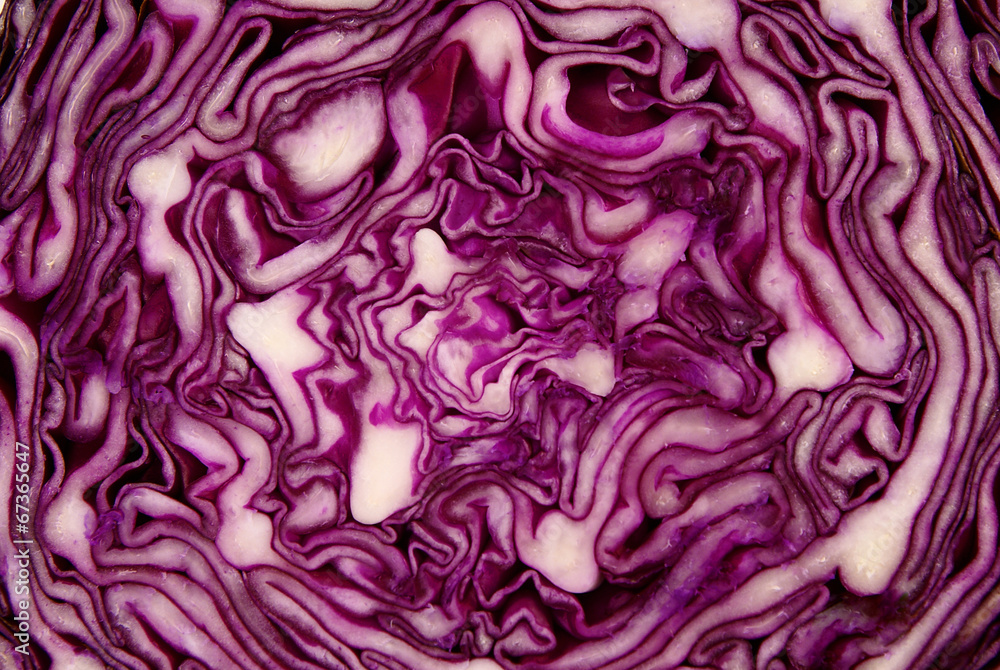close up of red cabbage close up of red cabbage