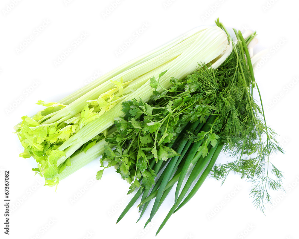 Fresh green celery and herbs, isolated on white Fresh green celery and herbs, isolated on white