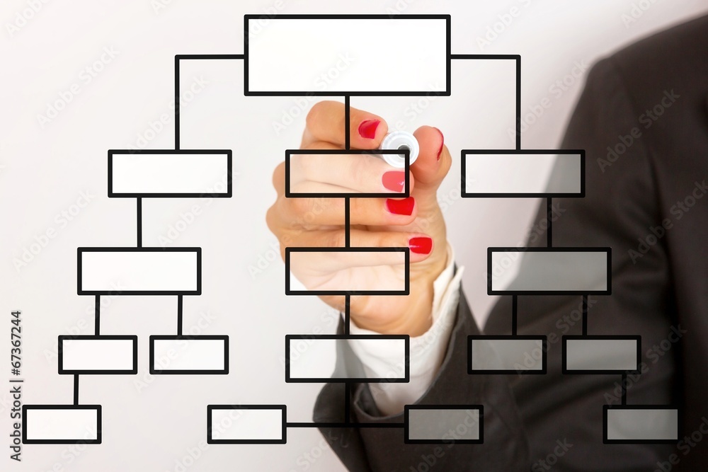 Business woman drawing company`s strategy on the board. Business woman drawing company`s strategy on the board.