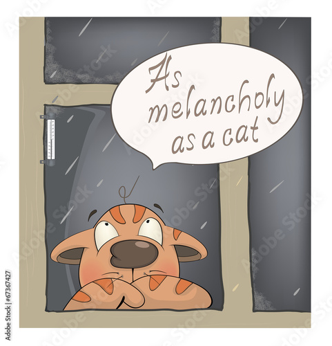 the melancholy of the cat cartoon