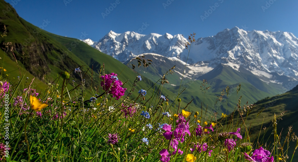 Fototapeta premium Alpine valley
