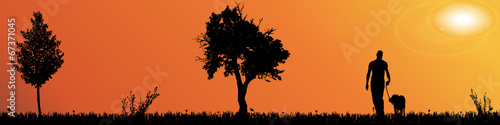 Vector silhouette of nature.