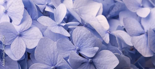 Panel kuchenny z motywem Kwiatowe tło