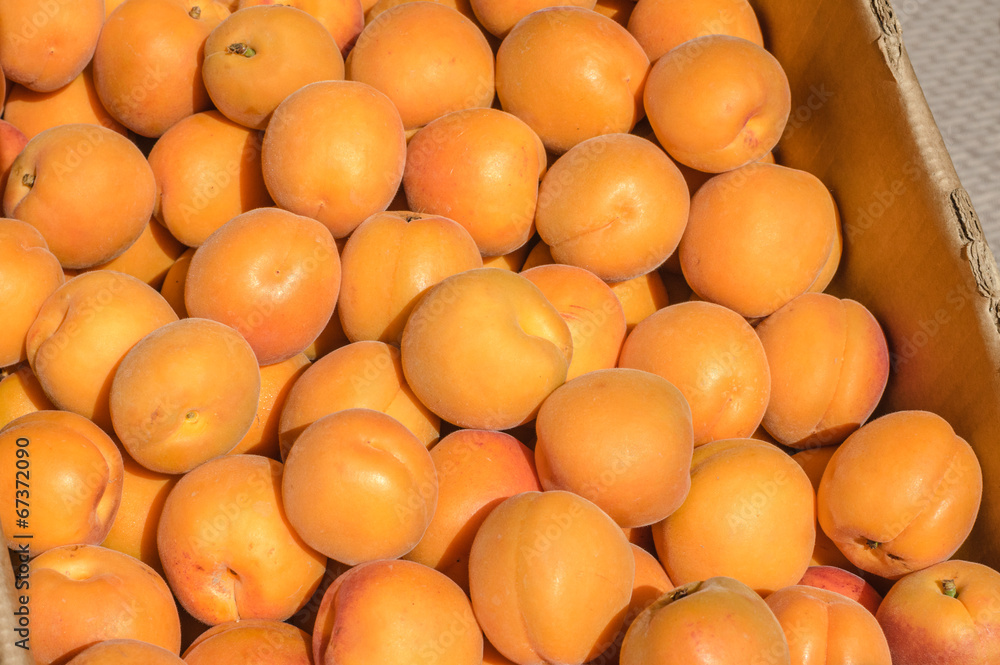 Fresh apricots at the market