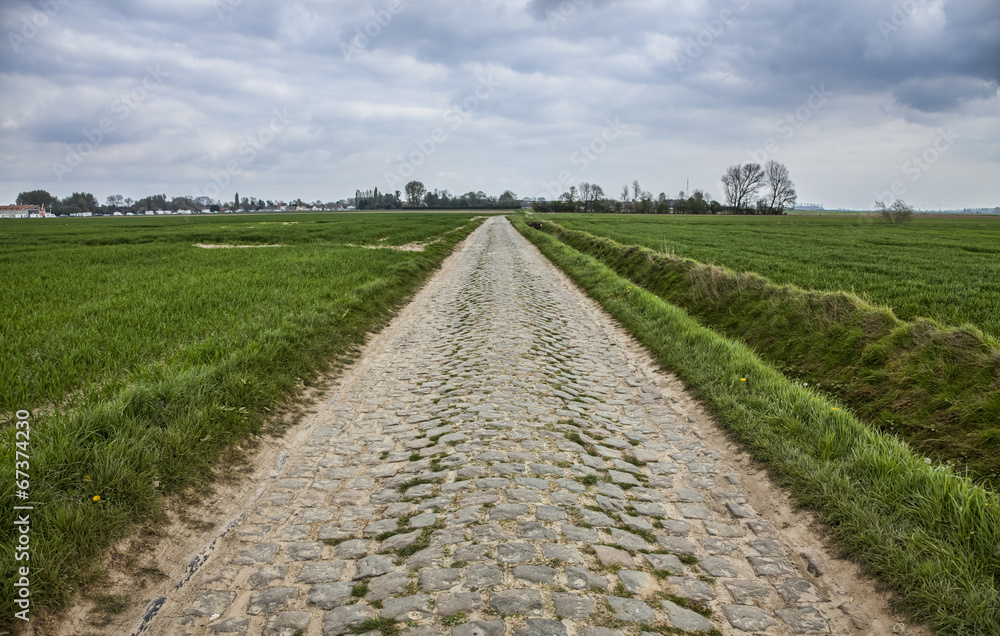 Fototapeta premium Cobbled Road