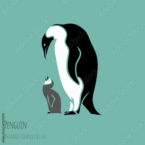 black and white penguin