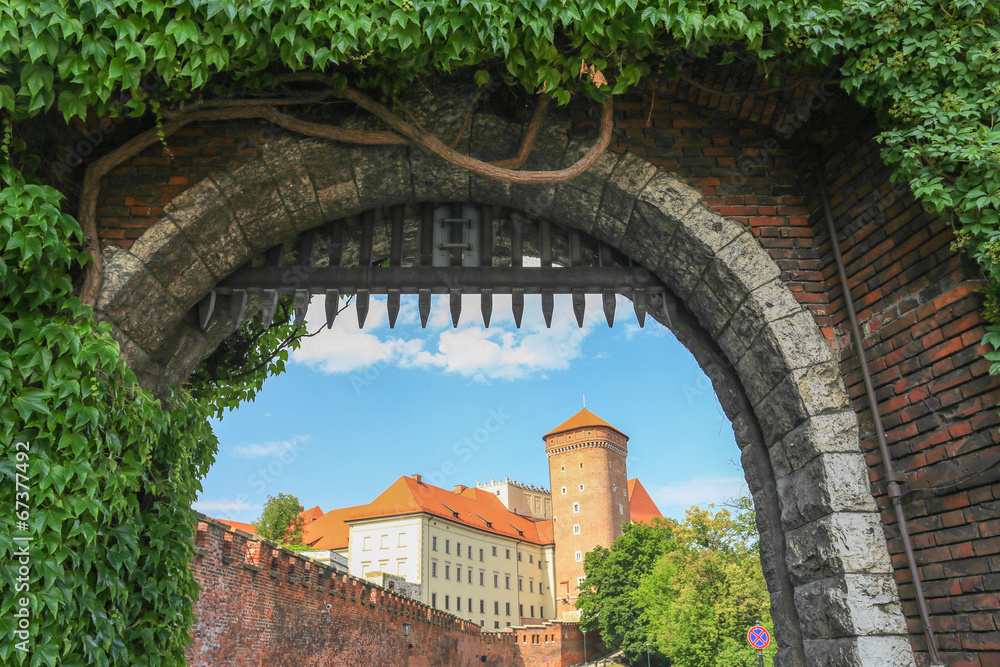 Cracow -  Wawel Castle - obrazy, fototapety, plakaty 