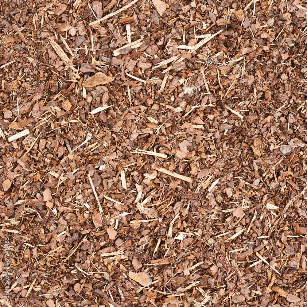 Fototapeta premium Wooden mulch ground fragment