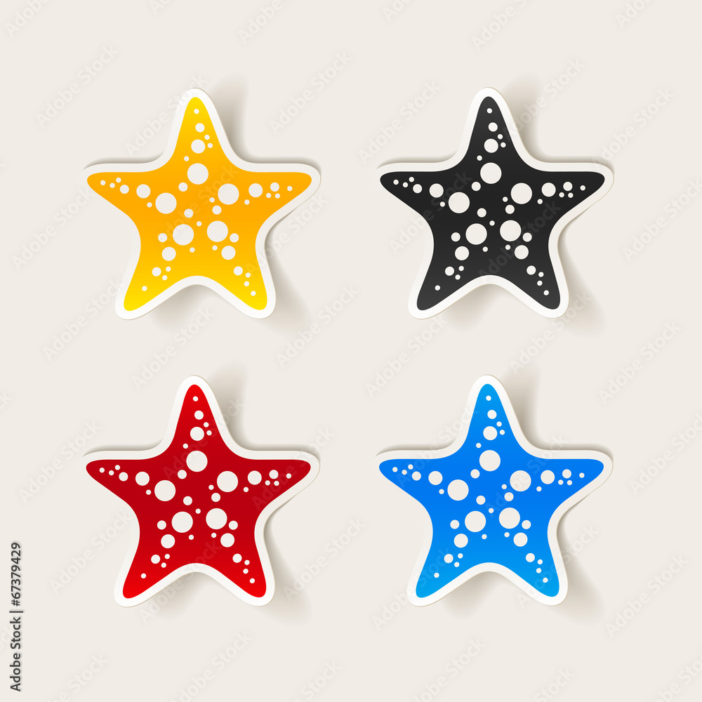 realistic design element: starfish realistic design element: starfish