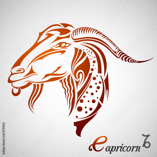 Capricorn Zodiac Sign