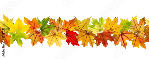 Pattern of autumn leaves, vector illustration.